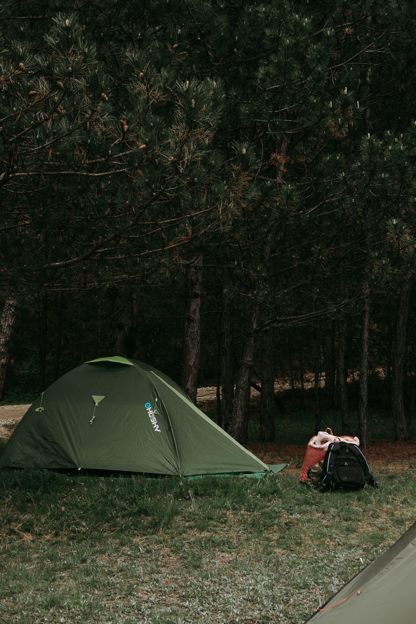 A green tent beneath trees at a quiet forest campsite